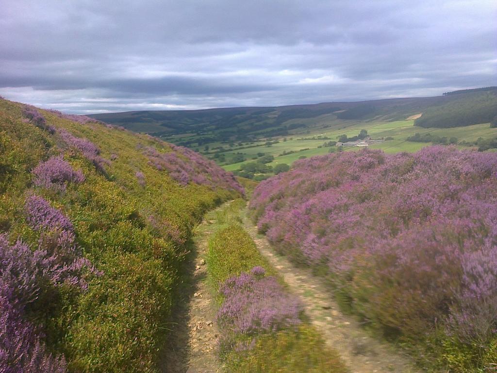 Lastingham Barmoors B&B 외부 사진